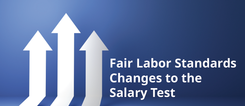 FLSA FLSA